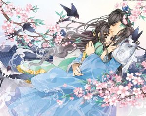 深入了解 宝贝轻点